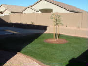 Picture213.jpg