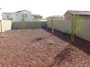 Picture354.jpg